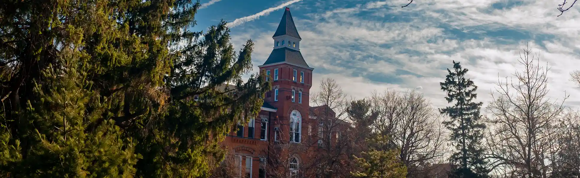 Neon color image of a band playing and people singing along
